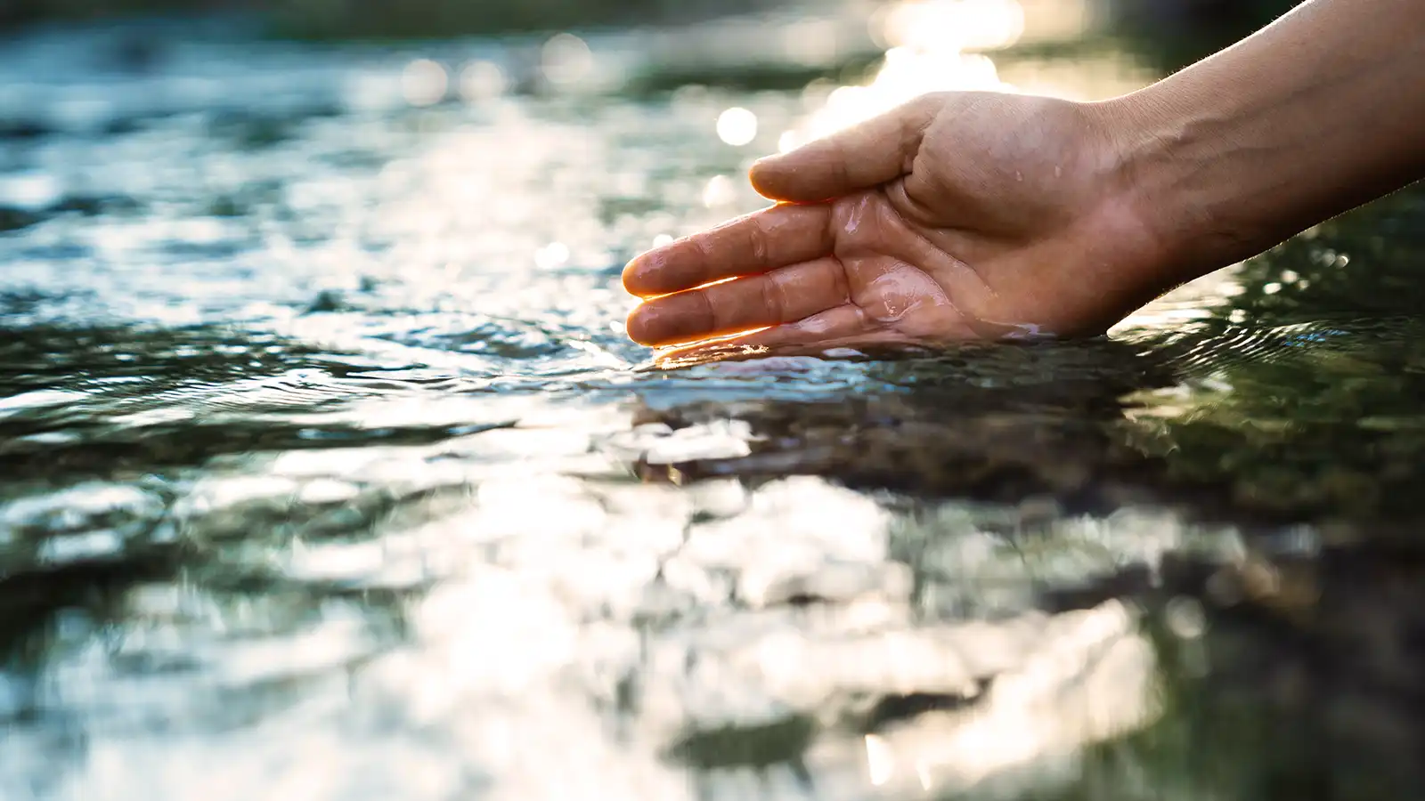 Stärkeres Immunsystem: Kühl Dich gesund mit Palm Cooling